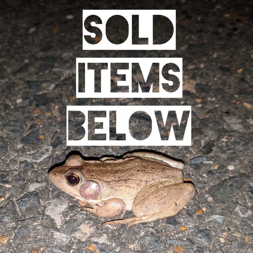 Sold items below 👇